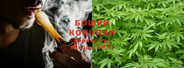 стаф Белоозёрский