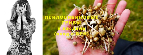 мдма Белокуриха