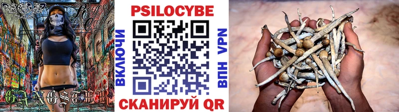 как найти наркотики  Реутов  Псилоцибиновые грибы GOLDEN TEACHER 